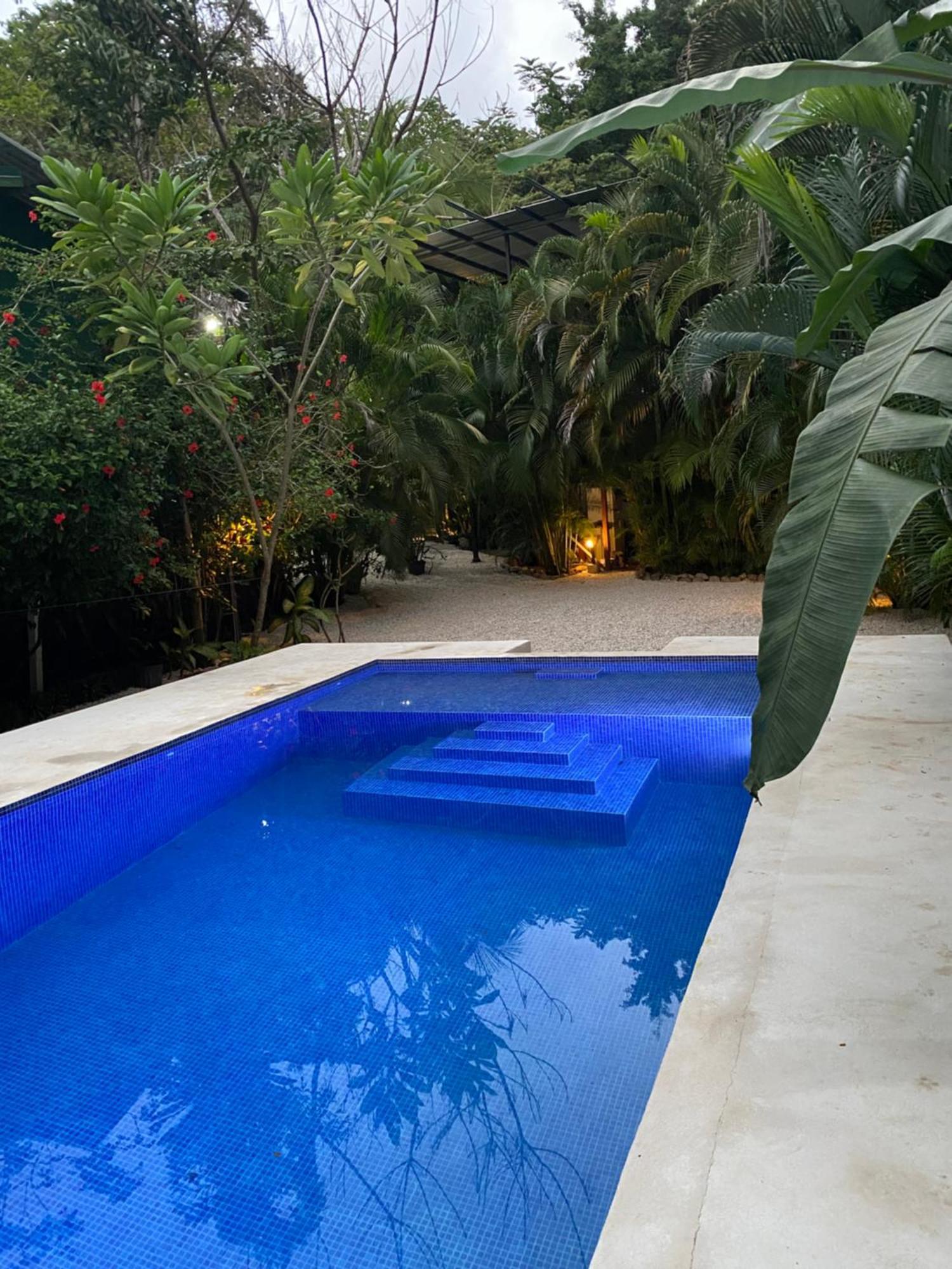 Nahele Lodge Playa Santa Teresa  Bagian luar foto